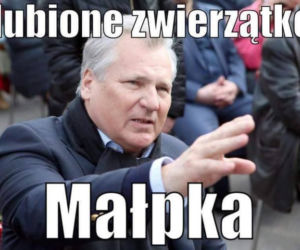 Kwaśniewski memy