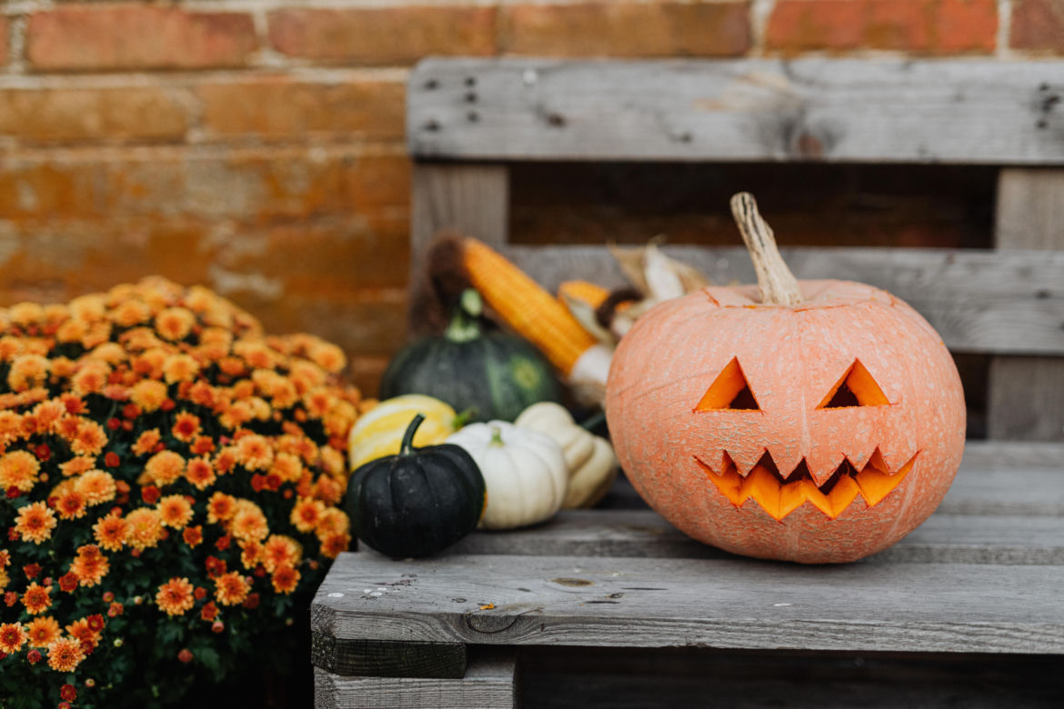 Straszne dekoracje na Halloween. Gdzie kupić ozdoby? Jak urządzić mieszkanie na Halloween?