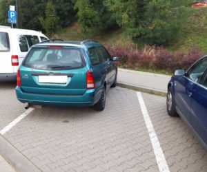 Mistrzowie parkowania w Katowicach [ZDJĘCIA]