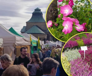 Wały Chrobrego utonęły w zieleni. Kiermasz Pamiętajcie o ogrodach przyciągnął tłumy