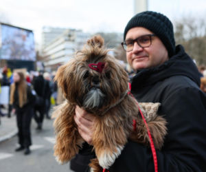 Wielki Marsz dla Zwierząt po wecie prezydenta