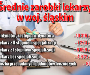 ZAROBKI SLASKIE_14