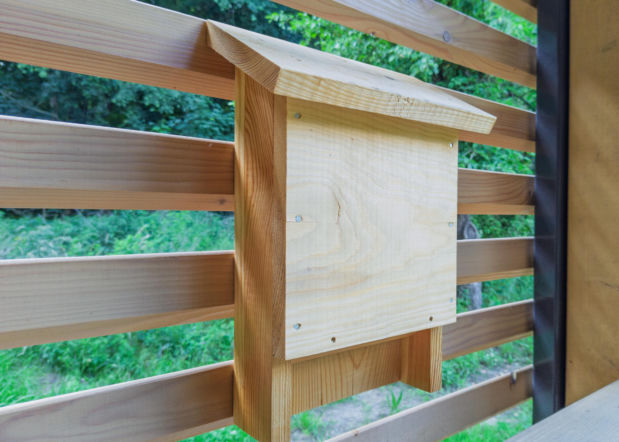 Budka dla nietoperzy