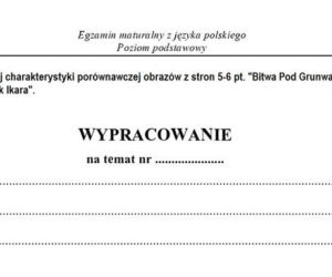 Matura z języka polskiego 2011 ARKUSZE, PRZECIEKI