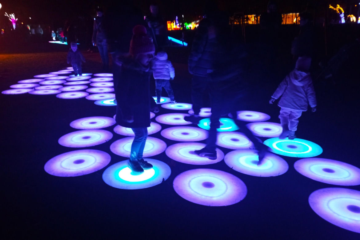 Garden of Lights w Szczecinie