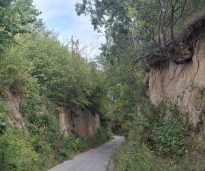 Udziców Świętokrzyskie. Wąwóz