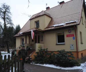 Leśnicy zostali zaatakowani przez rannego dzika
