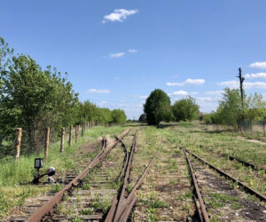 To miasto w województwie małopolskim ma jeden z najpiękniejszych rynków. Olśniewa również zabytkowym ratuszem
