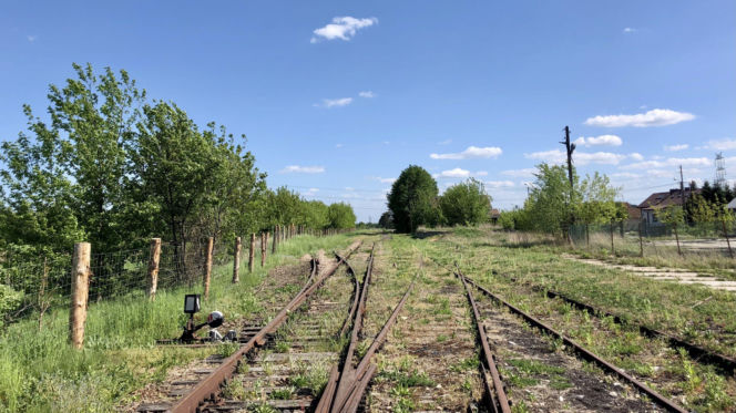 To miasto w województwie małopolskim ma jeden z najpiękniejszych rynków. Olśniewa również zabytkowym ratuszem