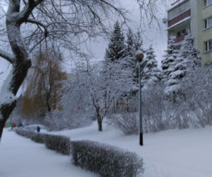 Zima w Białymstoku w 2019 roku