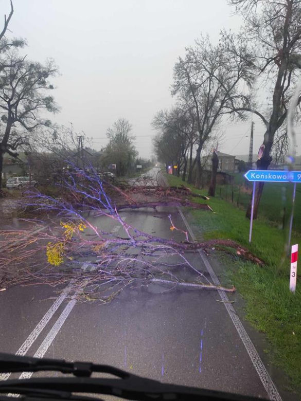 Burza w woj. lubelskim
