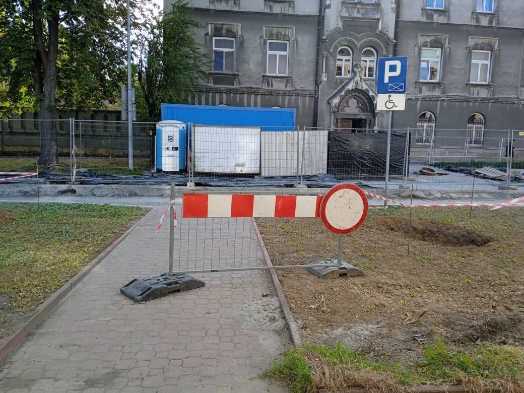 Nasadzenia drzew przy ulicy Piłsudskiego