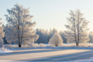 Siarczysty mróz nadciąga. Czy Polska w końcu doczeka się prawdziwej zimy?