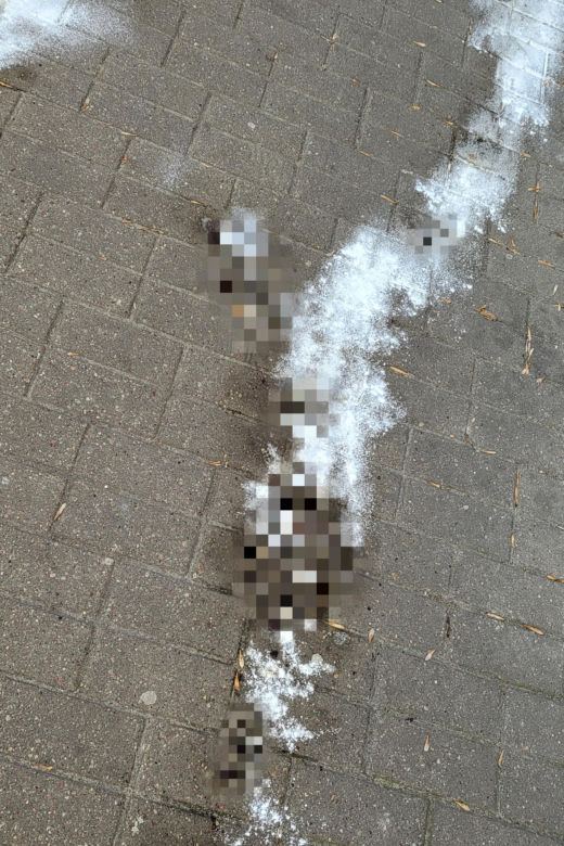 Atak nożownika pod kebabem w Warszawie