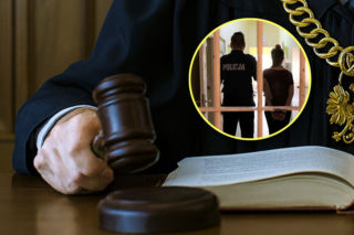 Podpaliła radiowóz i pogryzła policjantkę. Sąd nie miał litości dla krewkiej 33-latki