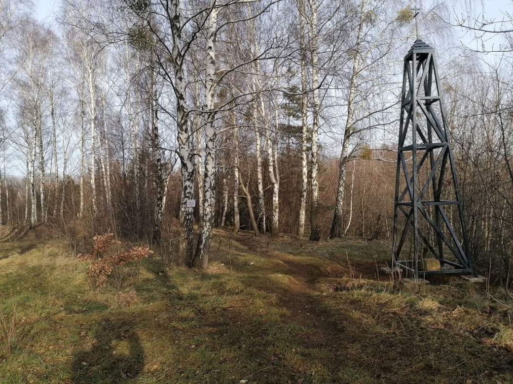 Bytom i wieża triangulacyjna
