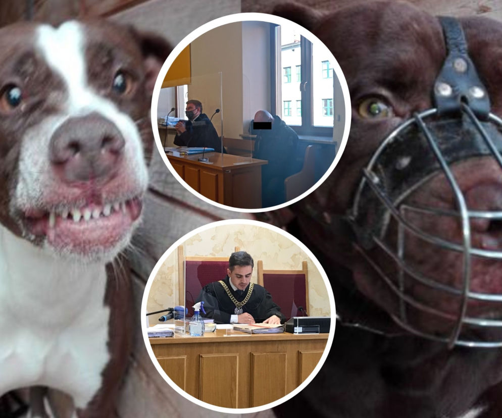 Pitbull zagryzł 12-letniego Kamila. Zapadł wyrok! Mama chłopca chciała wyższej kary
