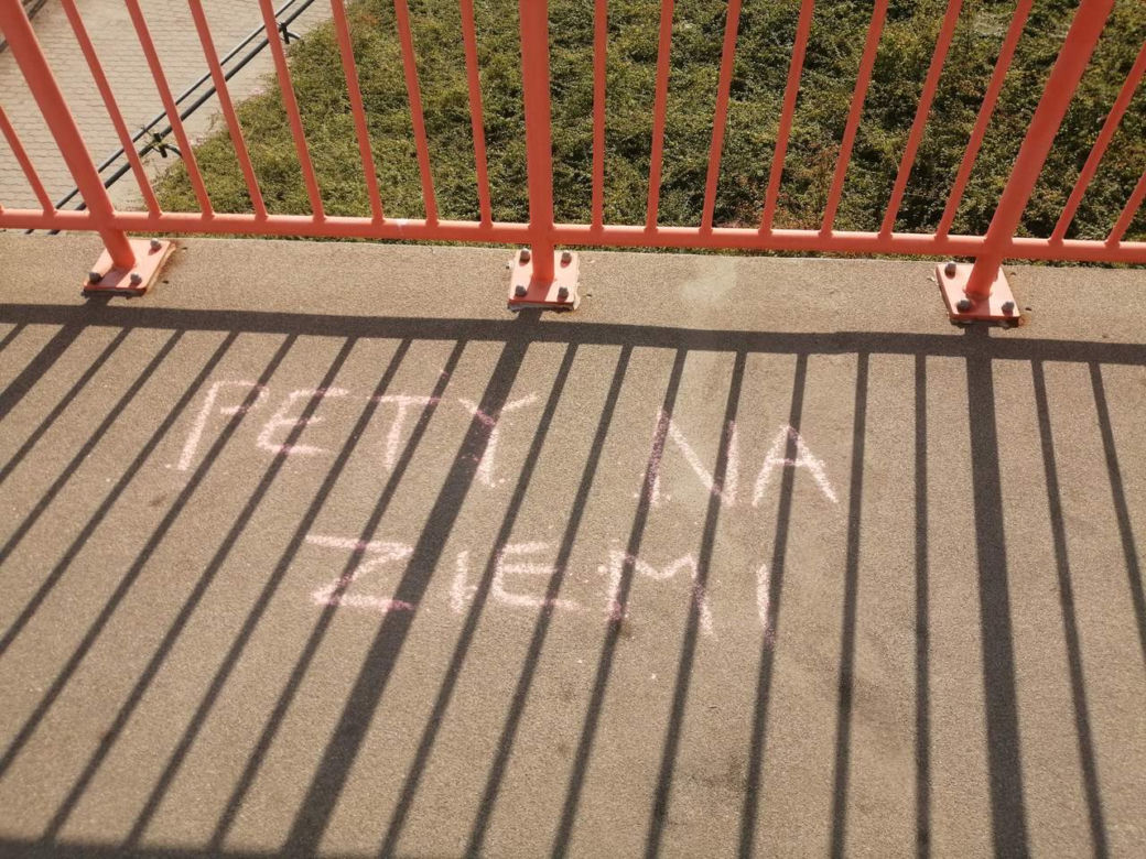 Akcja "Pety na ziemi" w Poznaniu