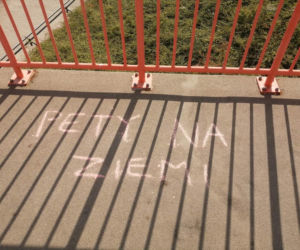 Akcja Pety na ziemi w Poznaniu