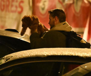 Sebastian Fabijański z pieskiem na spacerze