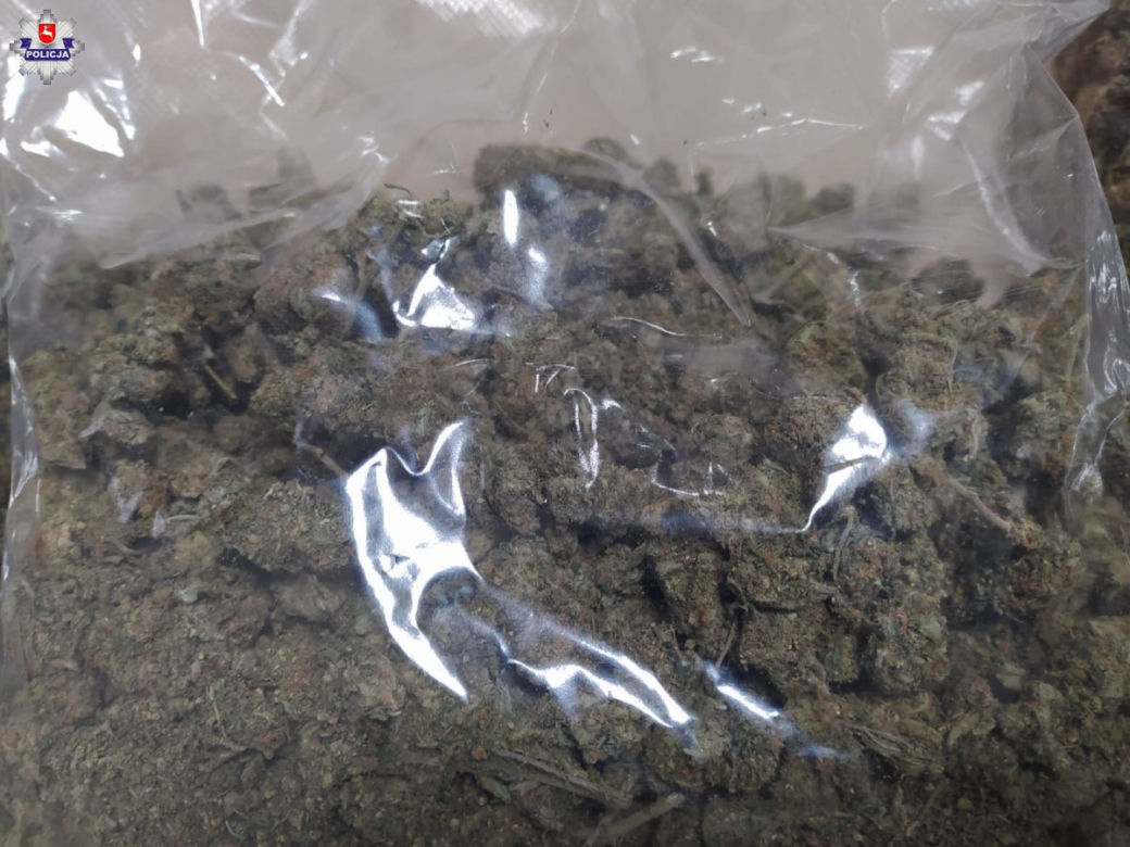 Lubelscy policjanci zlikwidowali narkobiznes. W lodówce i w sejfie było prawie 8 kg narkotyków
