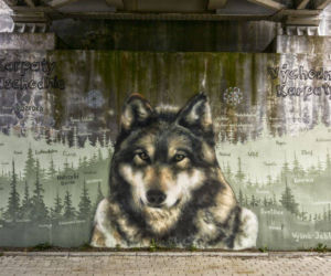 Nowe murale autorstwa Arkadiusza Andrejkowa