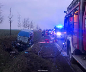 Śmiertelny wypadek na DW 184