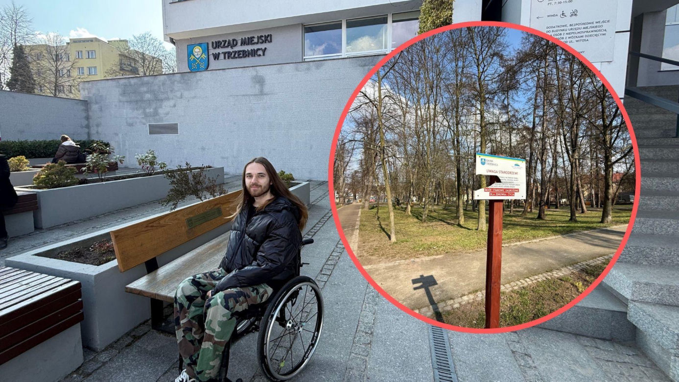 Drzewo runęło na młodego chłopaka w parku. Pół miliona złotych kary dla urzędnika