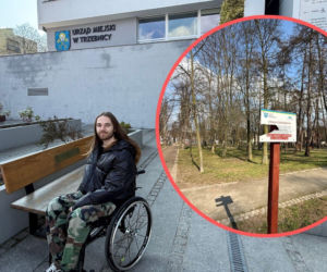 Drzewo runęło na Błażeja. Urzędnik musi zapłacić gigantyczną karę