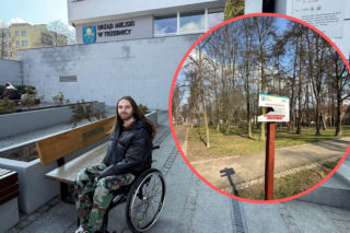 Drzewo runęło na Błażeja. Urzędnik musi zapłacić gigantyczną karę