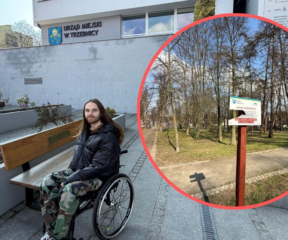 Drzewo przygniotło młodego mężczyznę w parku. Urzędnik zapłaci gigantyczną karę