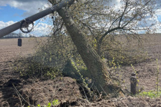 Powiat siedlecki: liczne interwencje strażaków w związku z wichurą