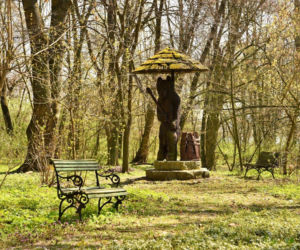 Pałac w Witosławiu