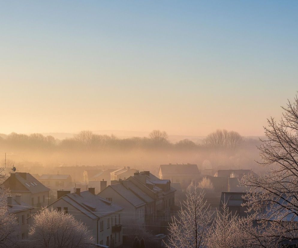 Rozległa mgła spowija pejzaż miejski o wschodzie słońca, tworząc ciepłe, złociste odcienie w dolnej części obrazu, które przechodzą w delikatny błękit w górnej części nieba. Dachy domów w centrum kadru pokryte są cienką warstwą szronu, a drzewa na pierwszym planie, zarówno po lewej, jak i po prawej stronie, mają nagie gałęzie, również wyraźnie oszronione, co nadaje im srebrzysty blask. W tle, gęsta mgła rozmywa kontury dalszych drzew i wzgórz, tworząc wrażenie głębi i spokoju.