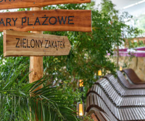Tak wyglądają Termy Maltańskie po rearanżacji wnętrza
