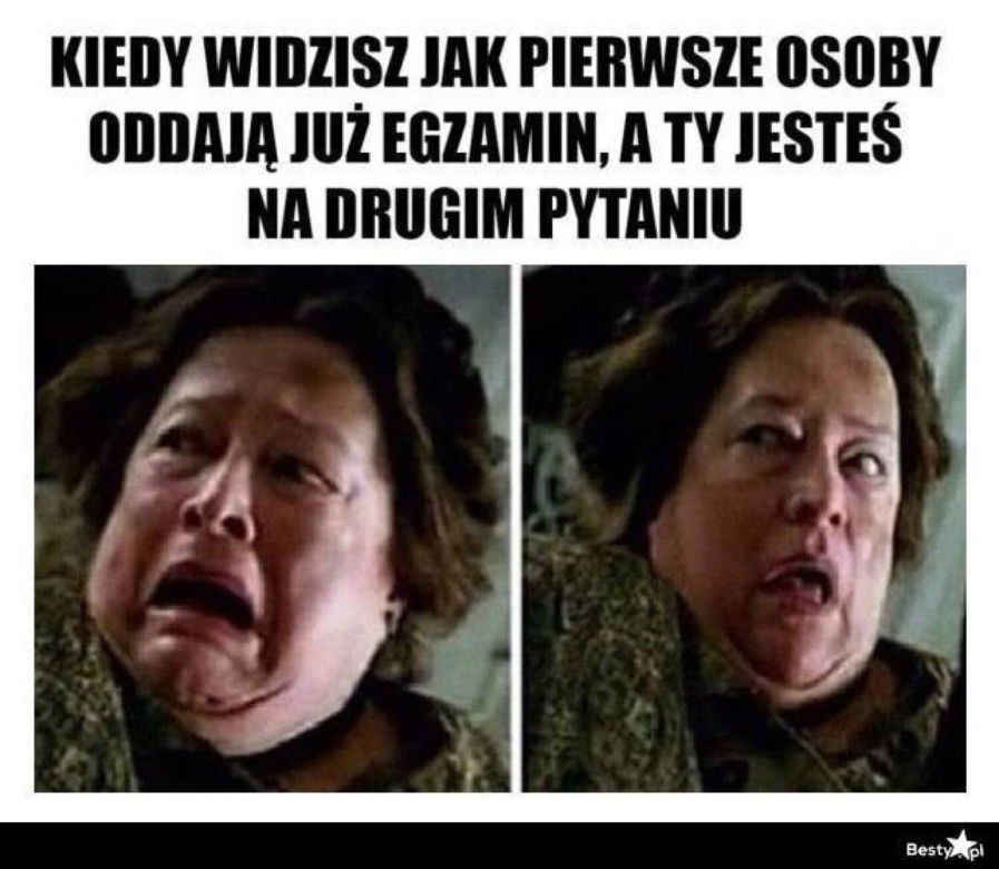 Egzamin ósmoklasisty 2024 memy! Padniesz ze śmiechu, gdy to zobaczysz [GALERIA]