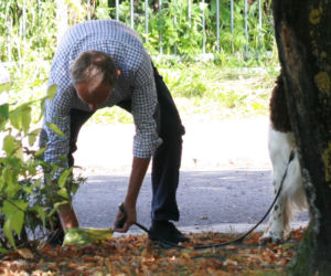 Tusk sprząta po psie