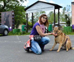 Awantura na Paluchu! Wolontariusze spierają się z dyrektorem