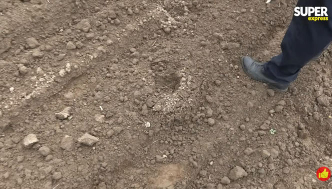 Niedźwiedzie coraz bliżej ludzi. Strach w Bieszczadach narasta: „Boimy się wyjść z domu”