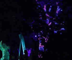12. Bella Skyway Festival w Toruniu