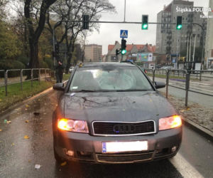 Katowice. ŚMIERĆ zebrała żniwo na drogach. Policjanci apelują do mieszkańców