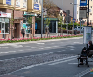 Olsztyn w wiosennym wydaniu. W mieście jest coraz piękniej