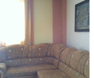 Zdjęcie 3797