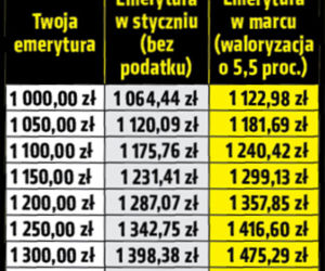 Najwyższa waloryzacja w historii
