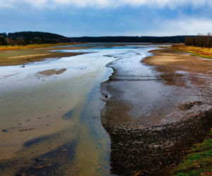 Rekordowo niski poziom wody w zalewie Brodzkim. Remont tamy i jazu Staszica w Brodach