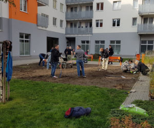 Mieszkańcy sami zazielenili beton na Dąbrowskiego