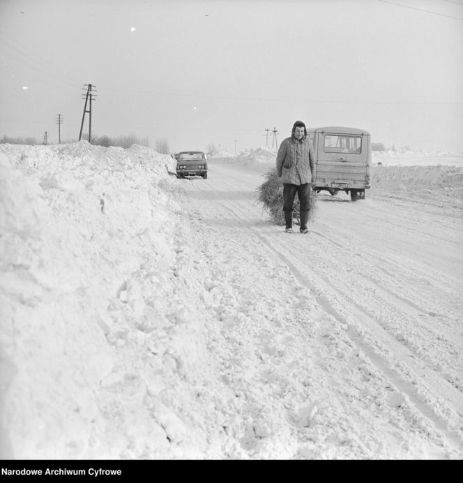 Zima stulecia 1978/1979