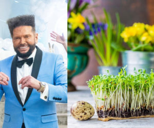 Rzeżuchy które wyglądają jak Krzysztof Rutkowski i jego legendarne fryzury