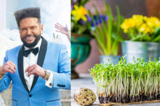 Rzeżuchy które wyglądają jak Krzysztof Rutkowski i jego legendarne fryzury