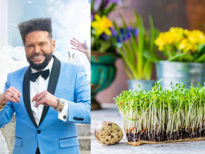 Rzeżuchy które wyglądają jak Krzysztof Rutkowski i jego legendarne fryzury